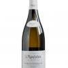 premier Cru BEAUROY Fond Blanc